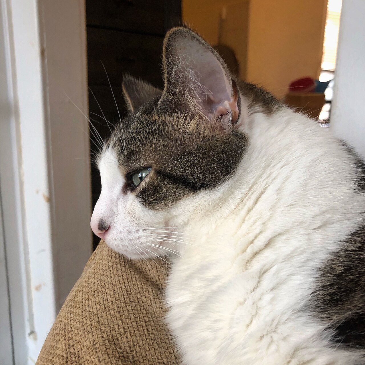 Existential crisis