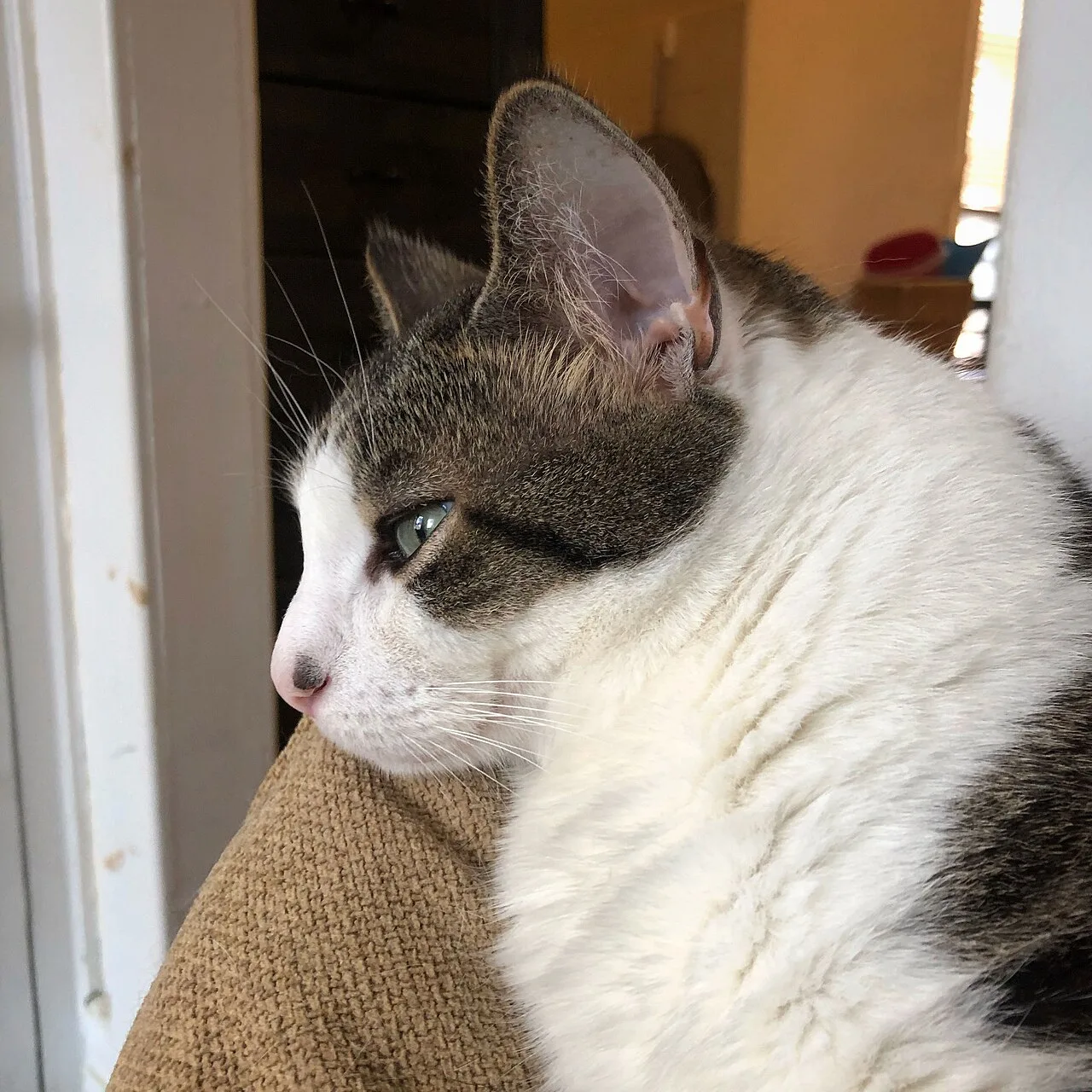 Existential crisis