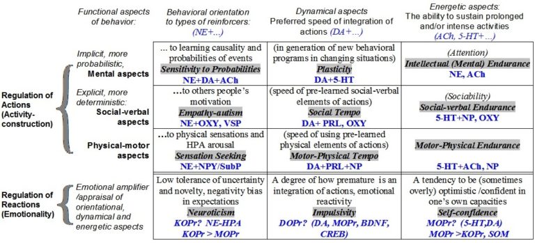 Functional psychology